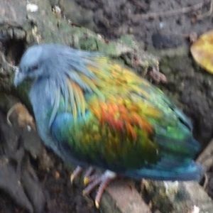 Meet your Posher, Emelene